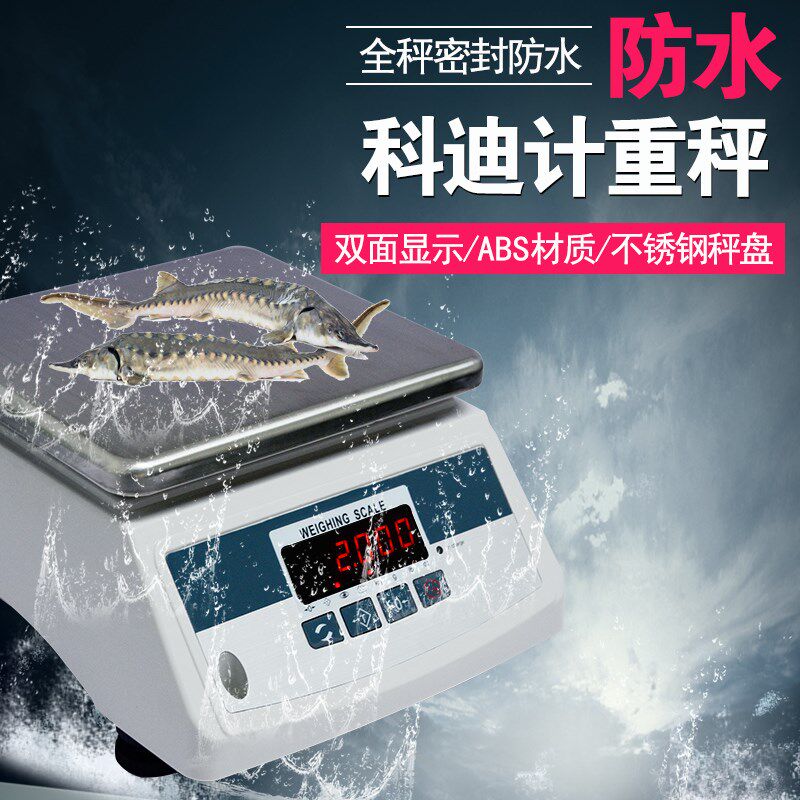 正品科迪JZC防水秤称重计重电子秤高精度精准工业防锈防腐蚀桌称