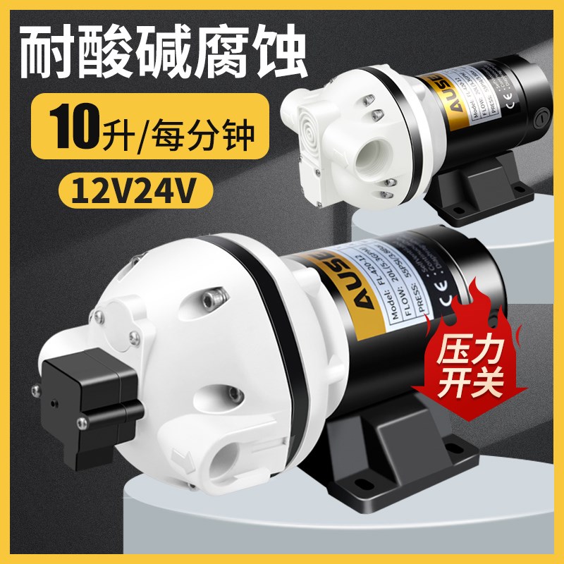 10升小流量耐酸碱自吸泵直流电动隔膜泵12V24V灌装加药泵抽消毒液