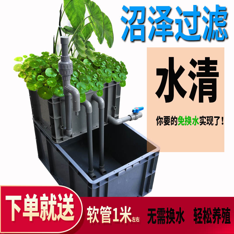 鱼缸过滤器沼泽过滤乌龟缸鱼菜共生系统diy周转过滤箱养龟箱鱼池图片
