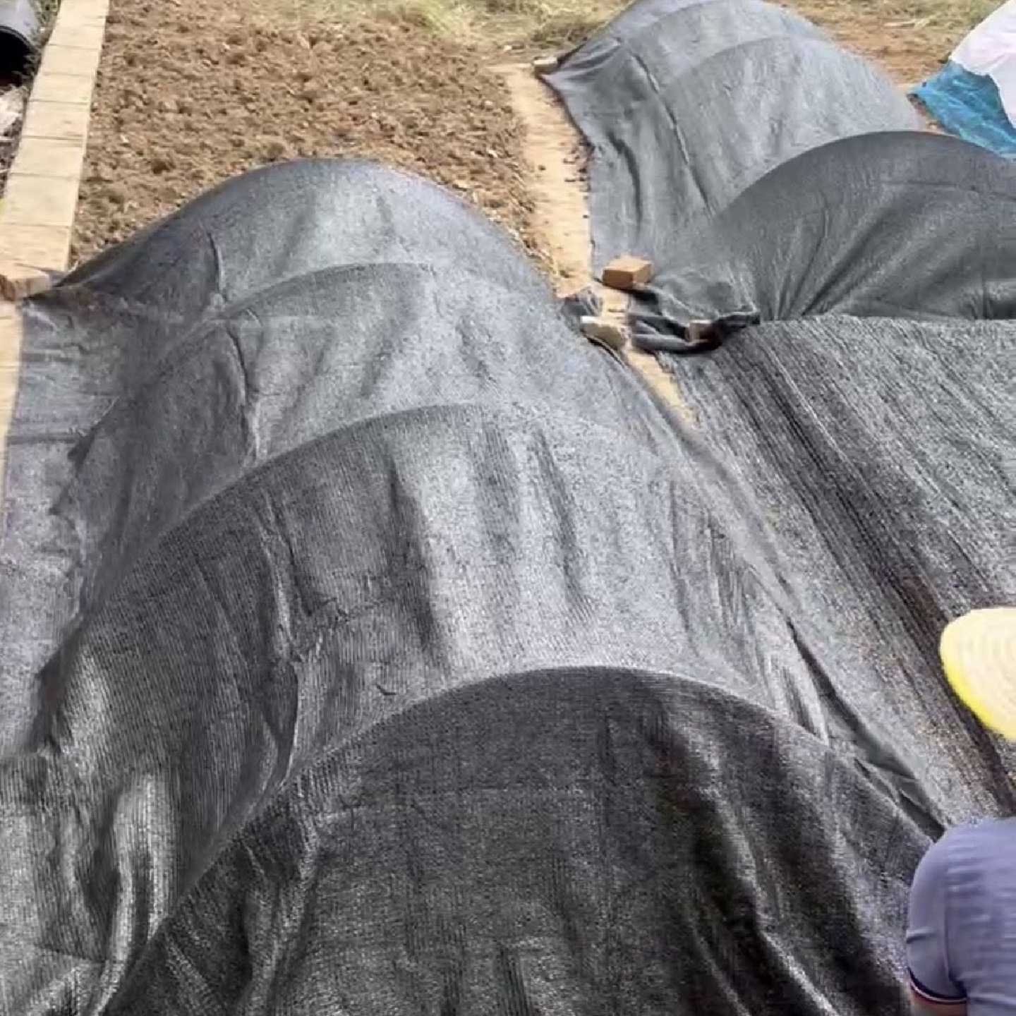 种菜遮阳网育苗防晒网育苗保护罩育苗工具育苗小棚全套防晒棚防虫