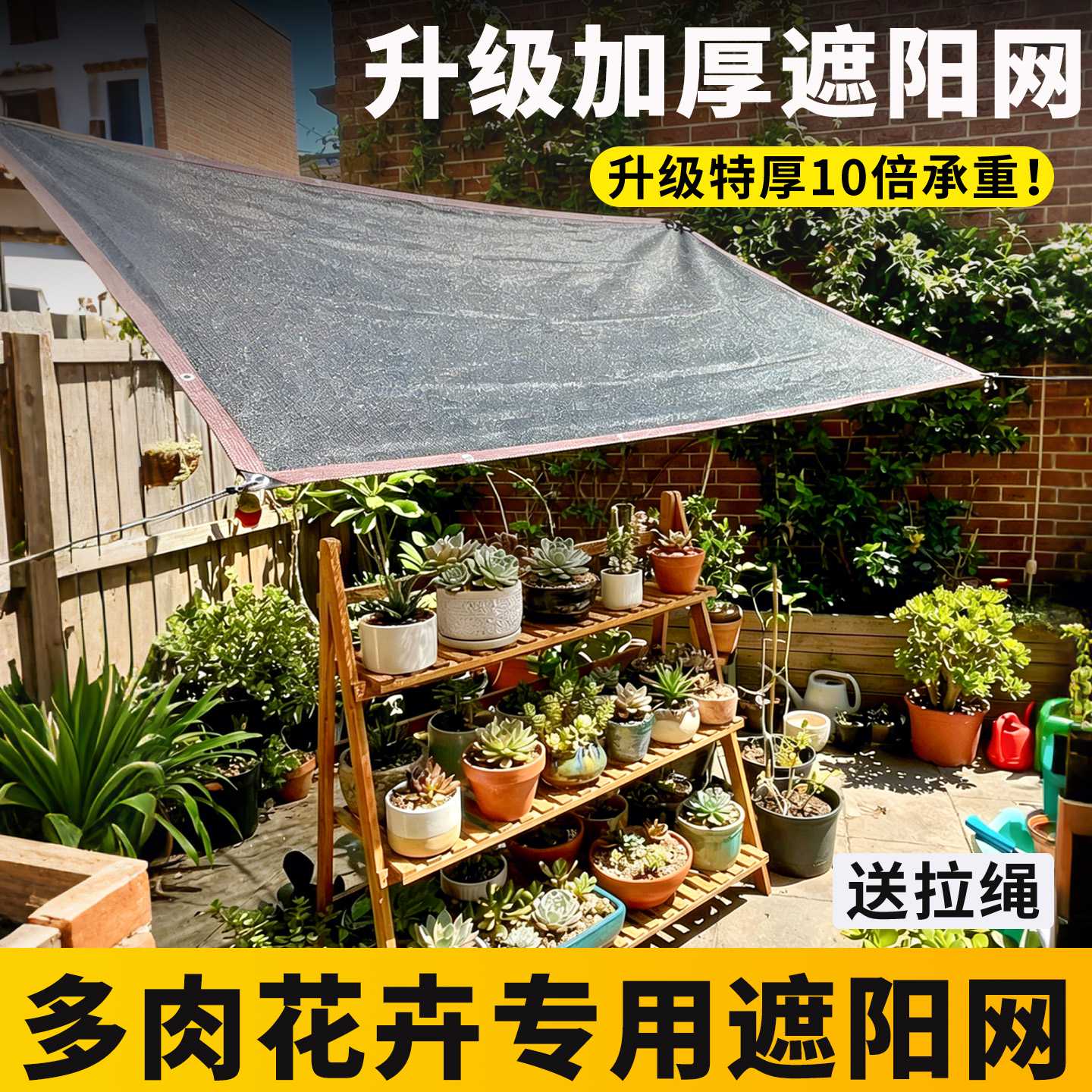 黑色遮阳网6针防晒网防晒网多肉绿植花卉兰花植物家庭园艺遮阴