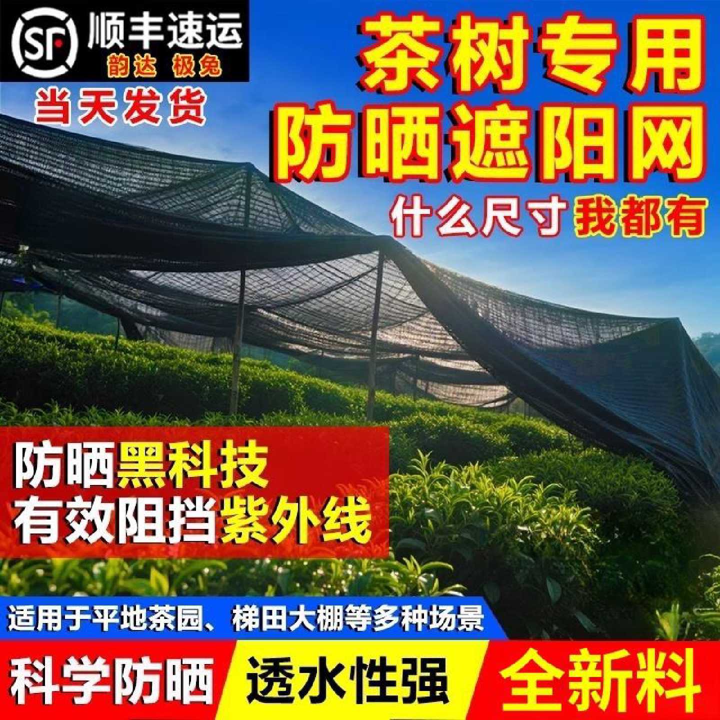 茶树苗专用遮阳网加厚加密防晒隔热太阳黑网遮阴庶阳隔热布高密度