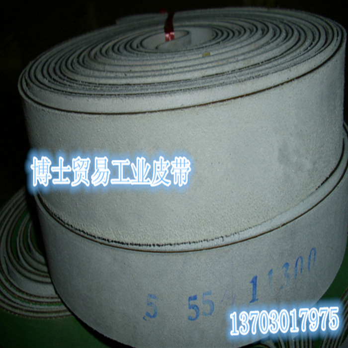 厂家直销:尼龙片基带 平皮带 传送带 灰白/灰白双面牛皮带钉带