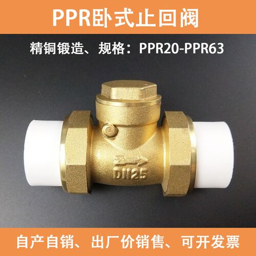 ppr25双活接热熔止回阀20卧立式单向阀32自来水管4分6分1寸逆止阀