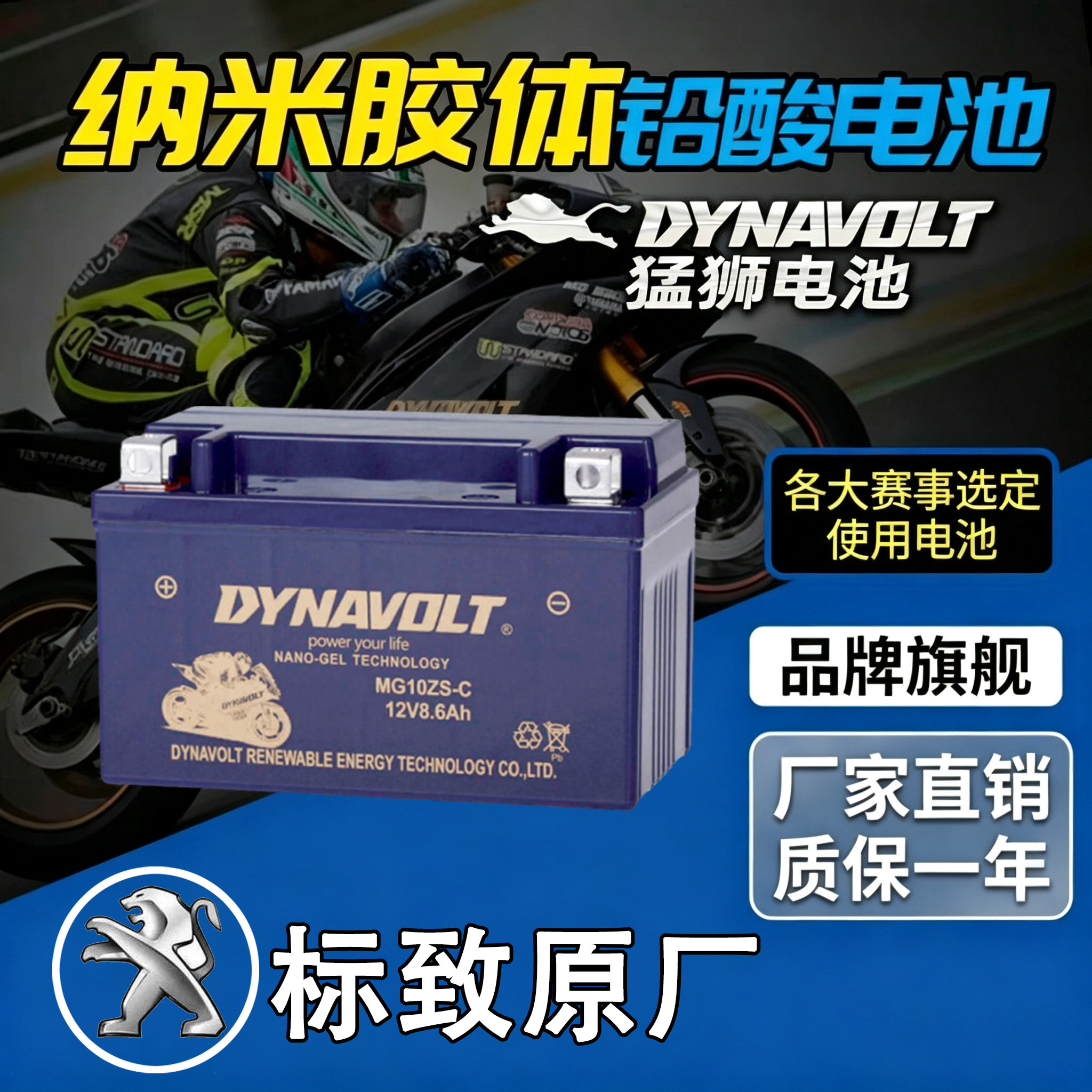 Peugeot标致SPEEDFIGHT标志电瓶