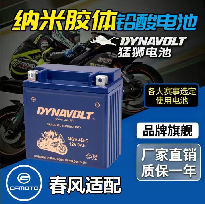 春风ST150狒狒SR250NK400电瓶图片