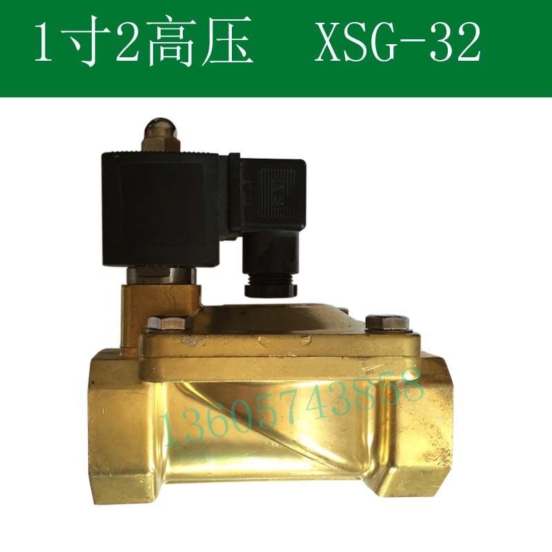 DN32高压电磁水阀气阀 XSG-32 2MPA 常闭电磁阀 220V 24V