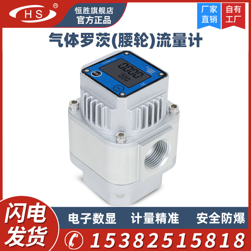 高精度电子数显腰轮气体流量计瓦斯瓦斯罗茨流量计表带瞬时流量