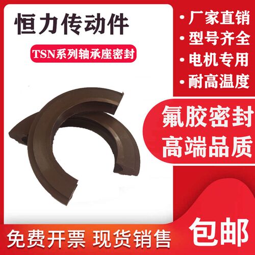 氟胶轴承座密封耐高温 TSN228 230 232 G