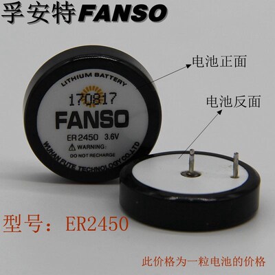 FANSO  孚安特扣式电池3.6V TPMS胎压电池 税控机电池 ER2450