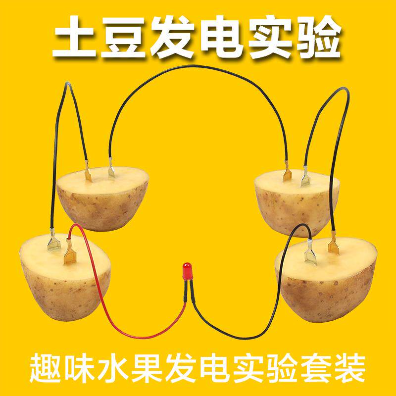 土豆发电水果电池果蔬发电实验学洒水/浇水壶