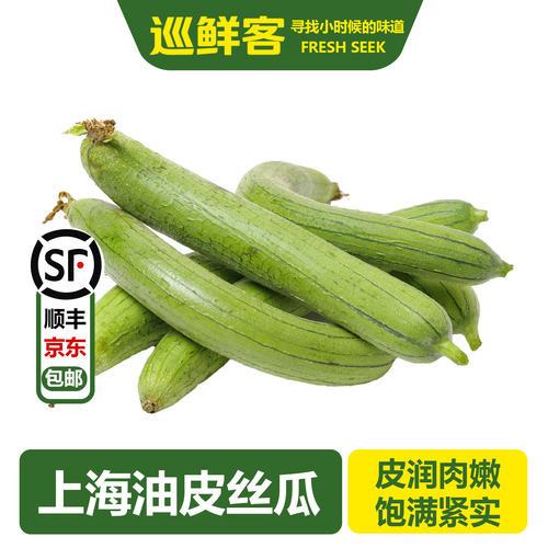 巡鲜客新鲜油皮丝瓜现采现发