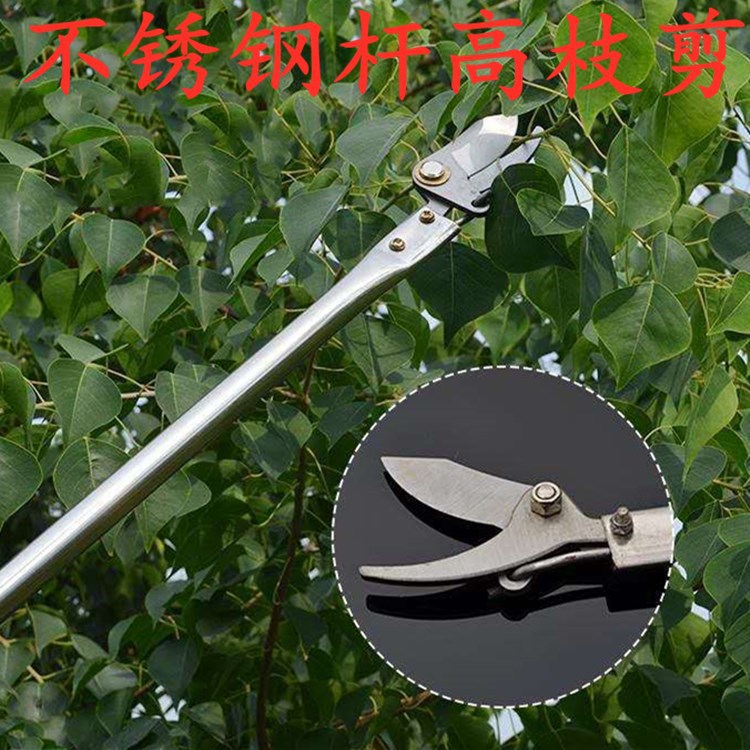 不锈钢杆高空剪树枝剪修枝剪槐米剪香椿剪子高杆园林剪刀高空修剪
