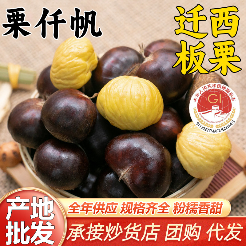 批发正宗迁西生鲜板栗燕山大油栗河北唐山早丰3113小毛栗子炒货