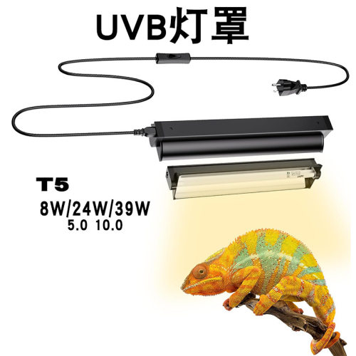 爬宠箱UVB灯管一体T5玻璃缸陆龟蛇鬃狮蜥蜴爬虫晒背补钙灯罩套装