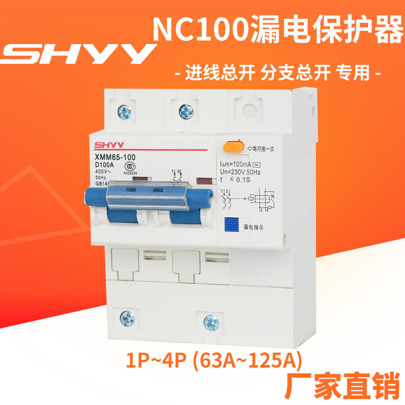 NC100Le漏电保护器63A80A100A125A大电流漏电保护器小型断路器RCD