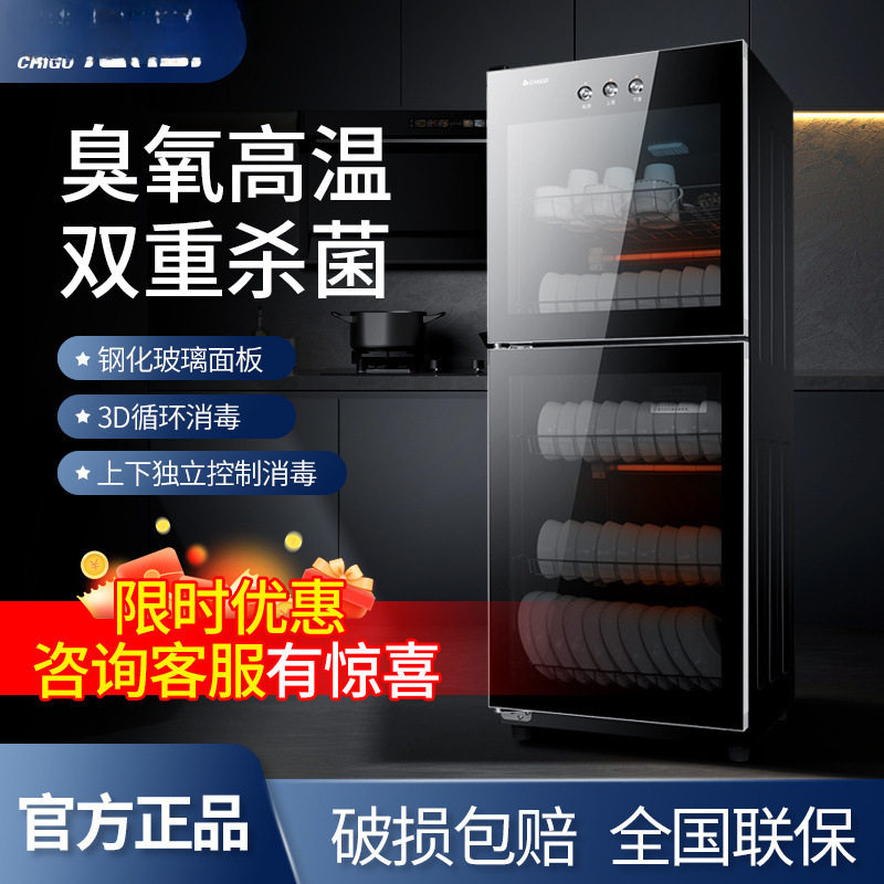 消毒柜家用双门立式商用饭店餐饮大容量不锈钢厨房消毒碗柜厂家