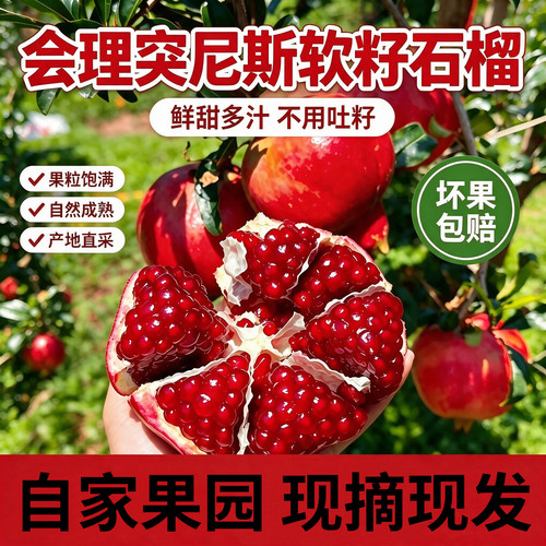 会理软籽石榴自家果园现摘现发
