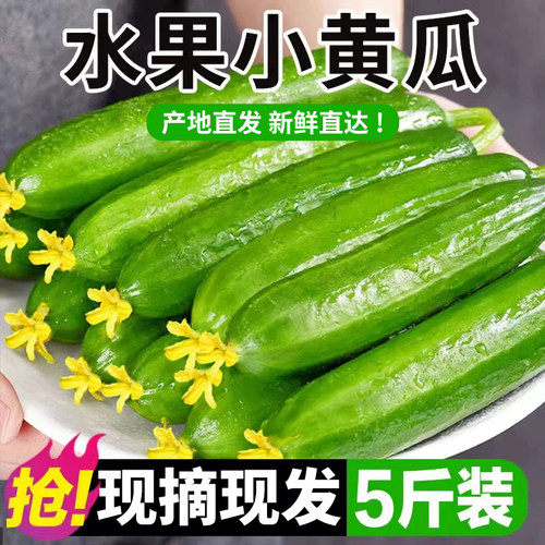 水果小黄瓜新鲜5斤小黄瓜青瓜