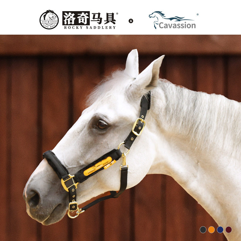 防护马笼头仿羊毛牵马笼头马术骑马用品装备
