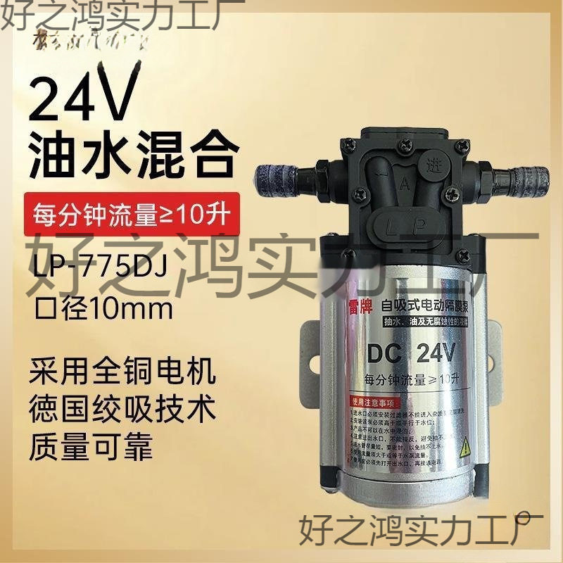 汽车淋水器大功率水泵洗车泵混合油水泵改装新版雷泵抽水泵麦