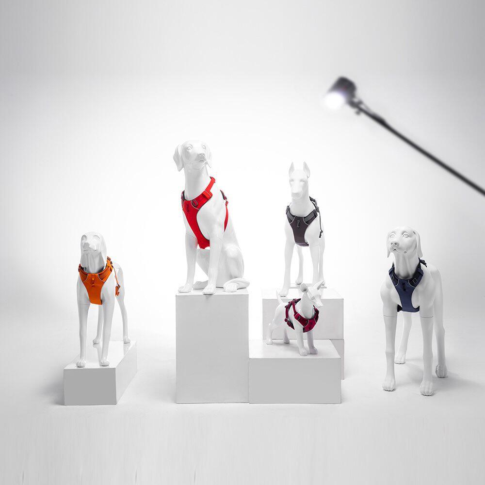 新款狗模型可拆卸狗胸背宠物衣服宠物用品直播间杜高犬展示狗模型