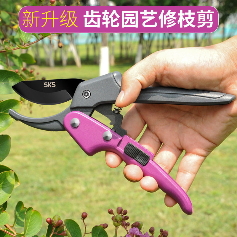 齿轮修枝剪园艺剪刀省力锋利果树修剪枝剪刀专业果园剪刀园艺工具