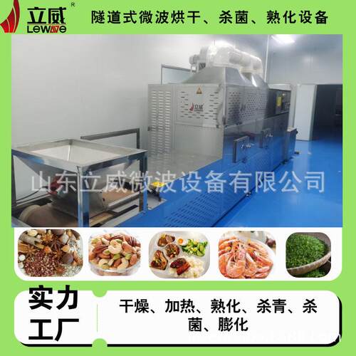 微波烘干隧道式微波杂粮熟化 快速干燥微波苦荞麦脱水设备效果好