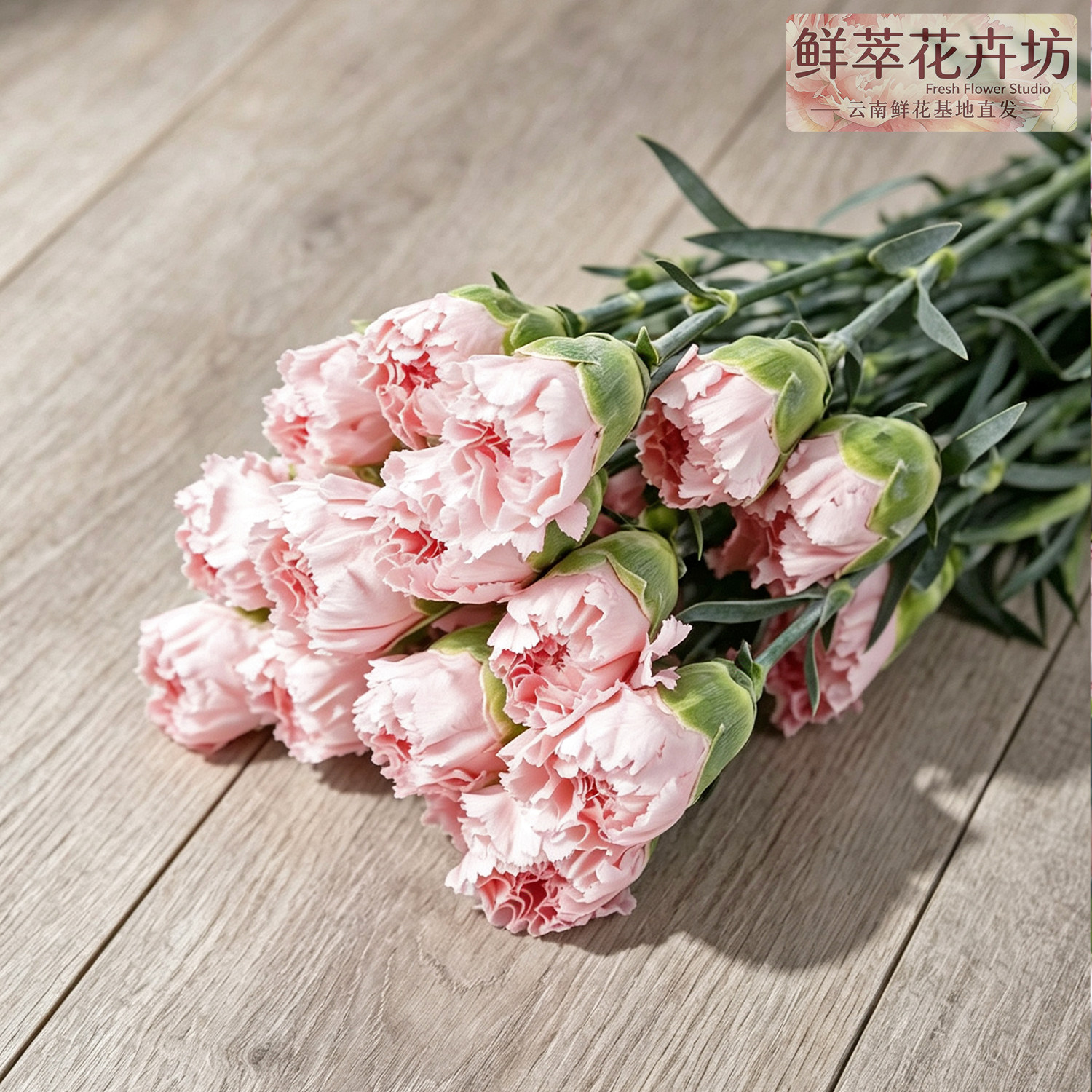 云南斗南直发康乃馨鲜切花束