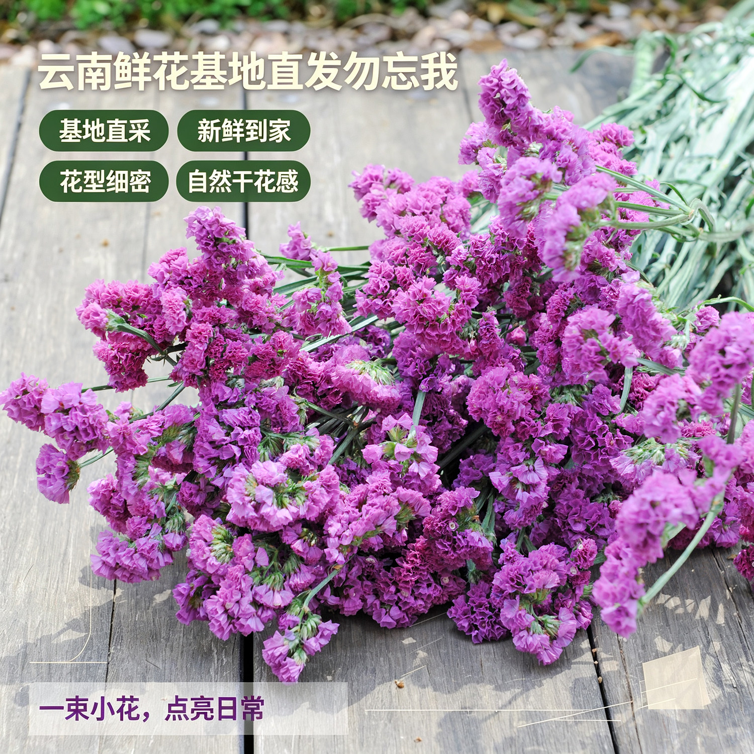 云南勿忘我真花束天然真花摆件