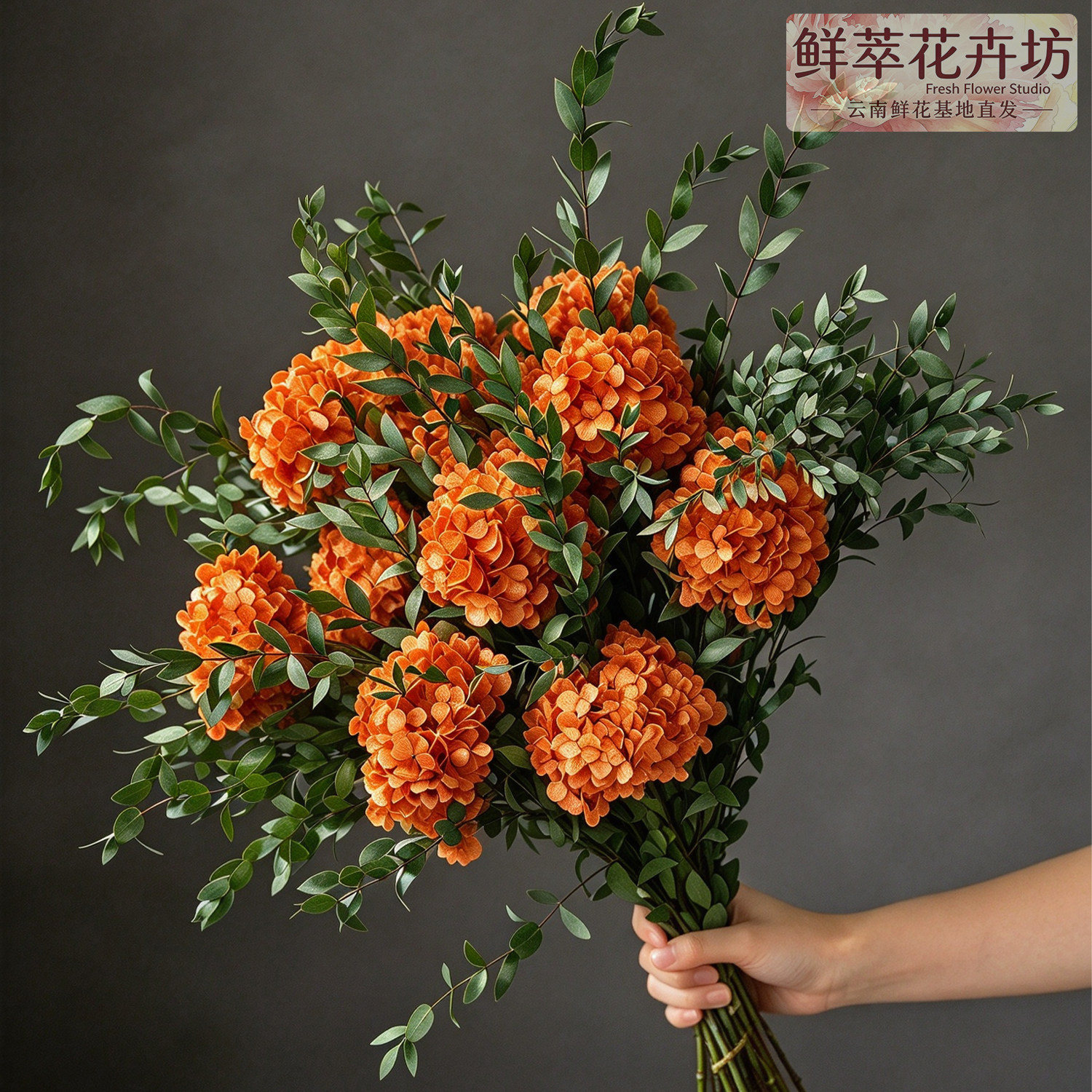 云南基地绣球花永生干花束