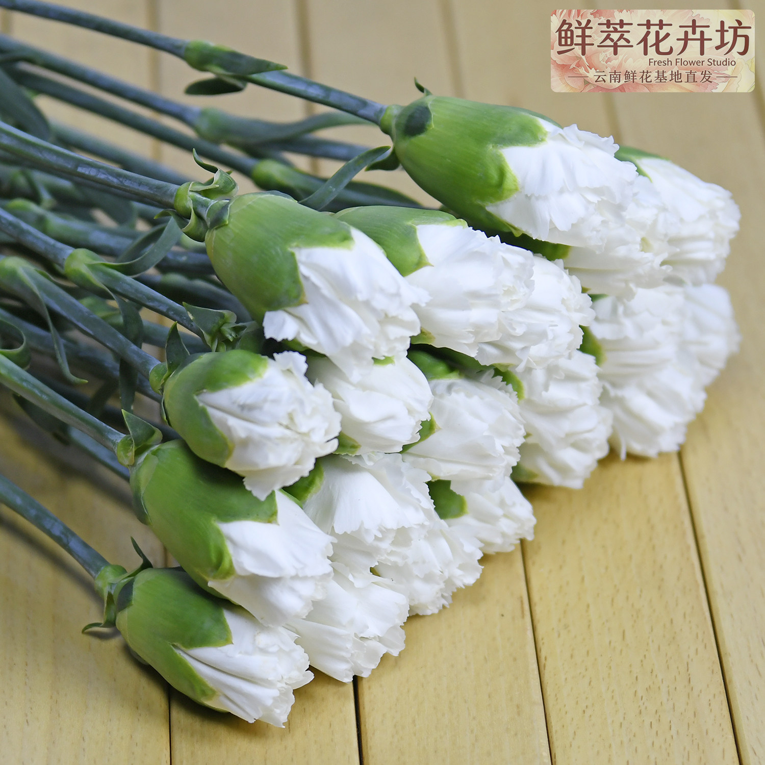 白色康乃馨鲜切花母亲节礼物