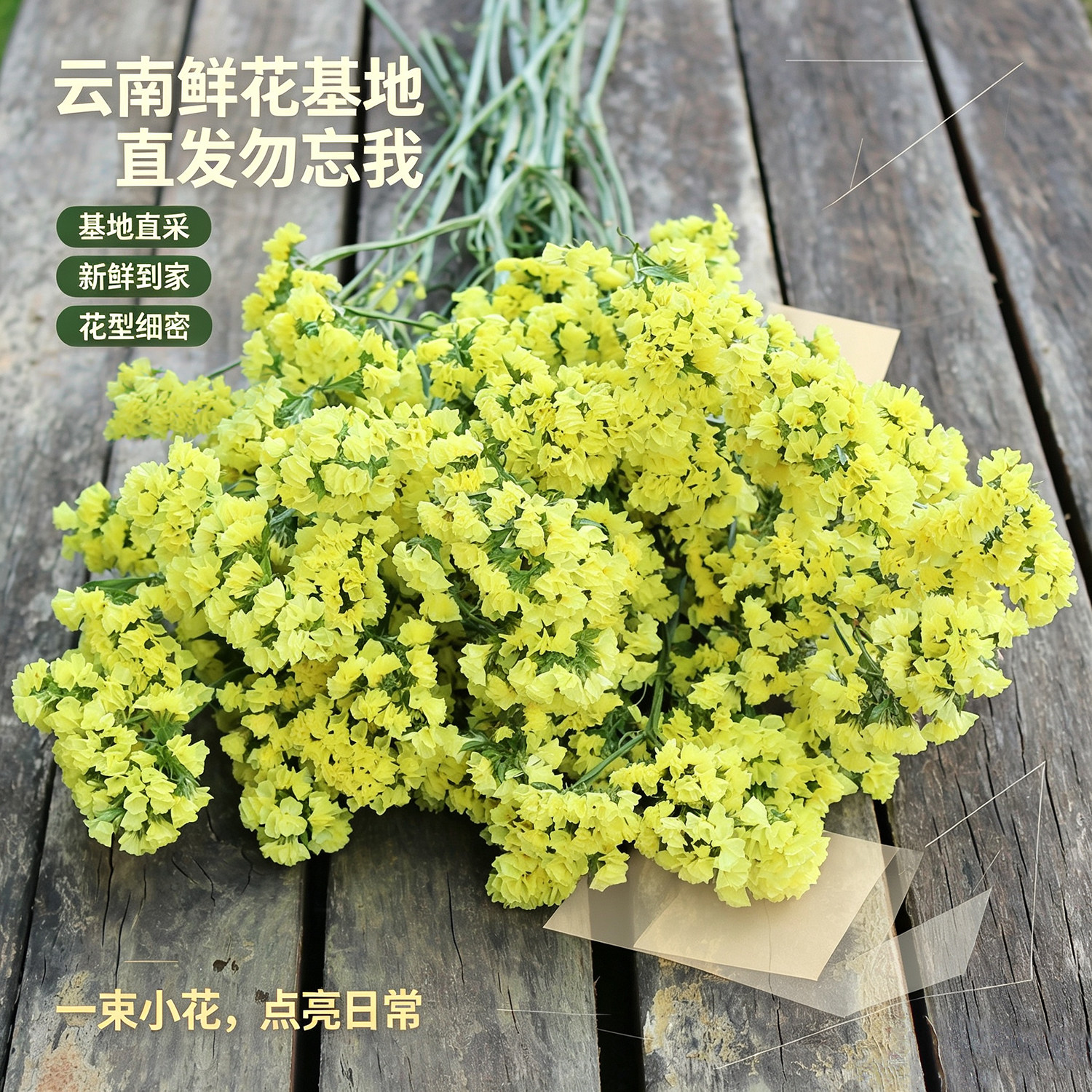 云南勿忘我鲜花真花束国庆节礼物