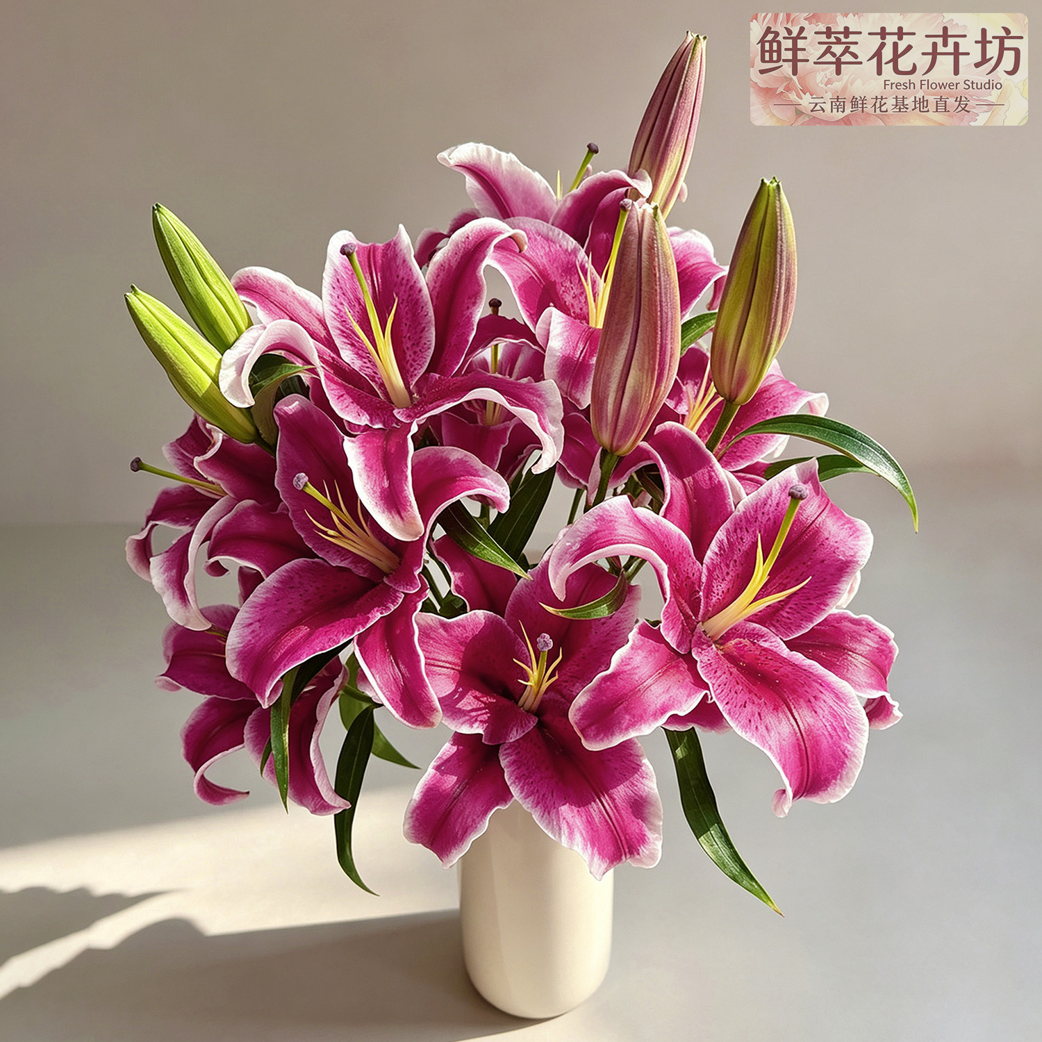 昆明直发黑美人香水百合鲜花