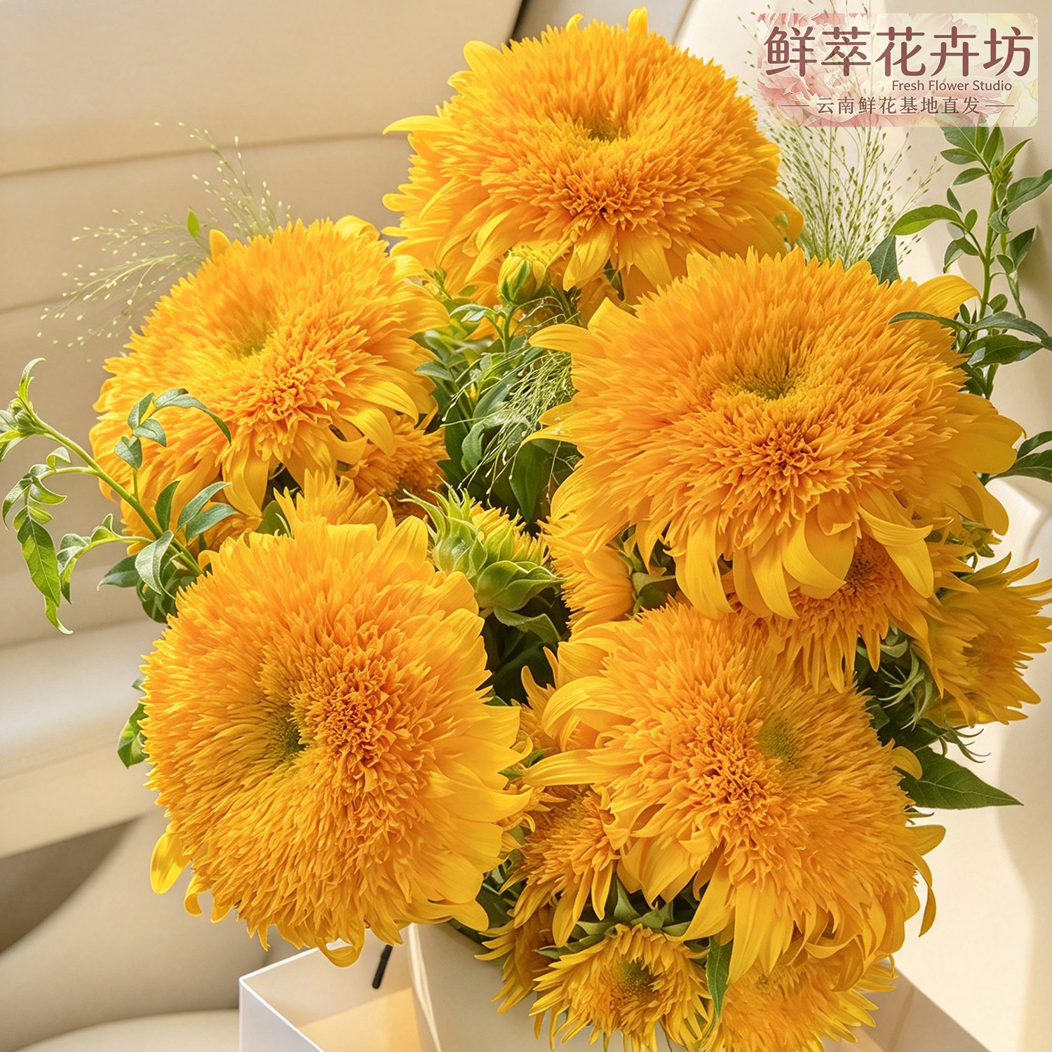 泰迪向日葵重瓣真花束云南直发