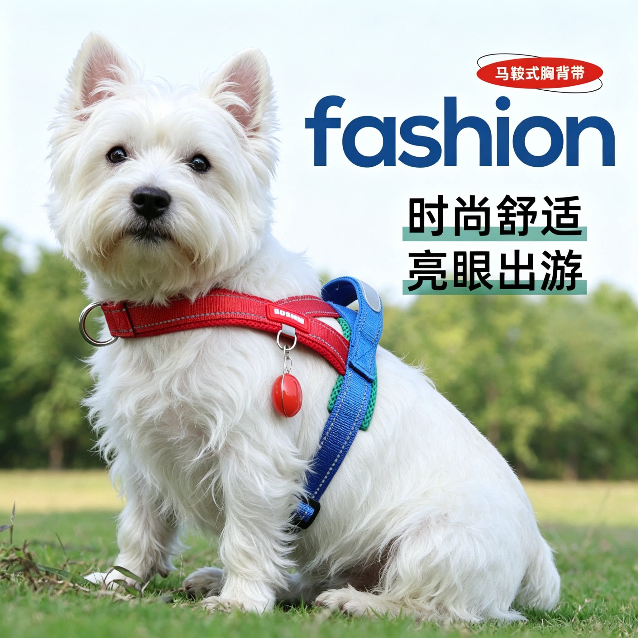 背心式狗狗牵引绳中小型犬柴犬法斗专用泰迪可调节胸背带遛狗链子