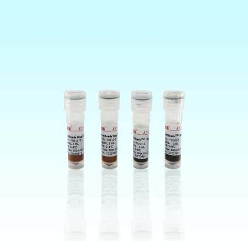 海狸Protein A抗体纯化试剂盒 1mL, 30mg/mL, 2μm 20102-1