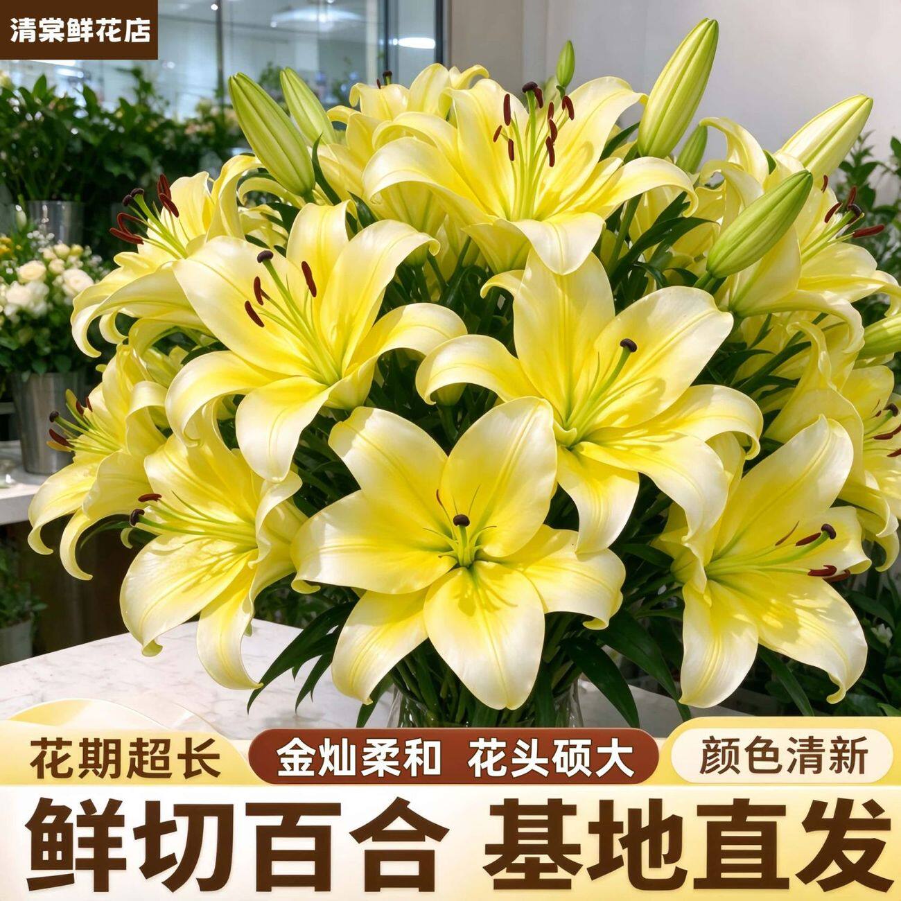 香水百合鲜花云南基地直发水养