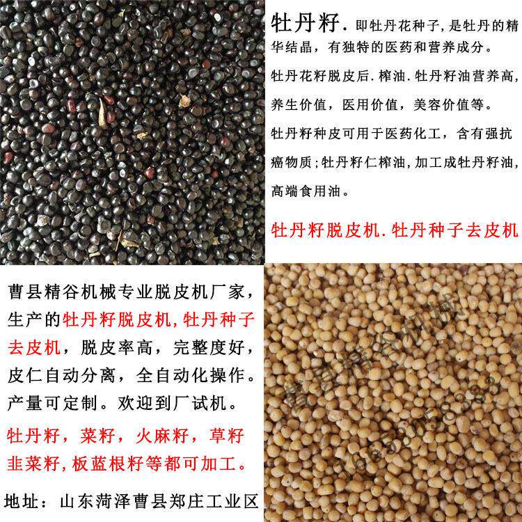牡丹籽脱皮机 牡丹花籽去皮机 牡丹种子剥皮机 厂家直销 产量定制