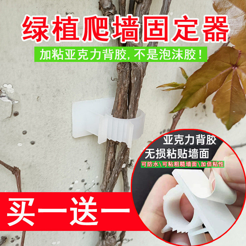 植物爬墙固定器黏胶卡扣固定神器