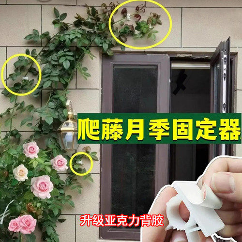 爬墙固定器黏胶卡扣牵引户外墙钉