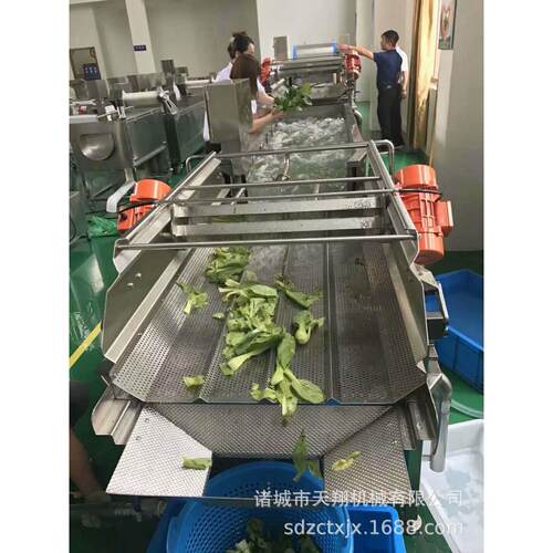 天翔油菜、豆芽菜涡流清洗机 叶菜清洗设备厂家  生产