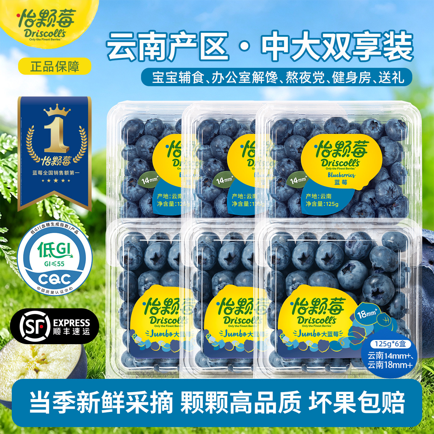 Driscoll's怡颗莓蓝莓