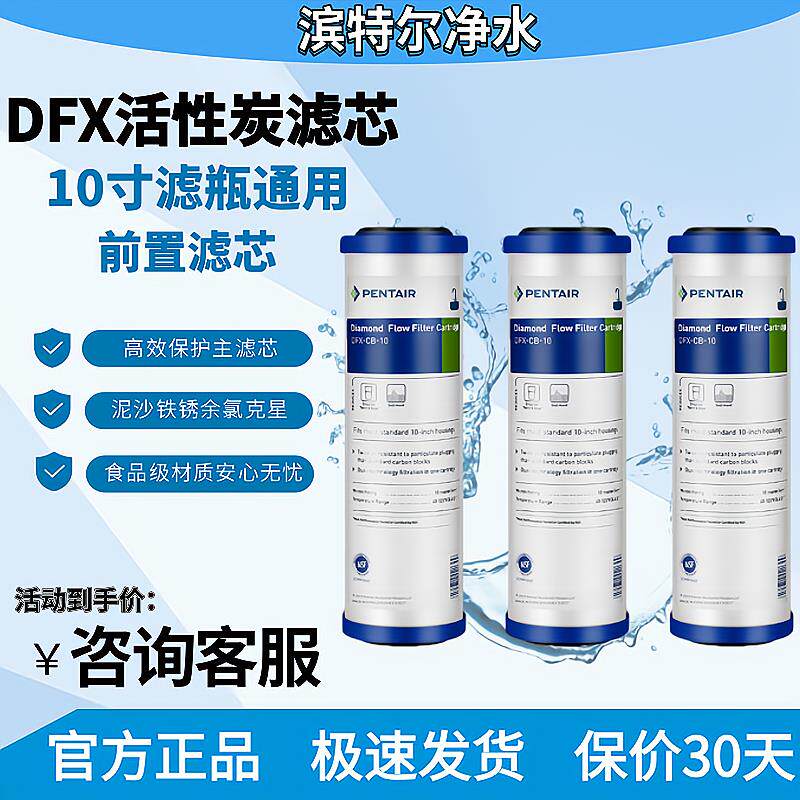 滨特尔DFX活性炭复合滤芯EF-10+GAC通用10寸滤芯碳棒去除余氯异味