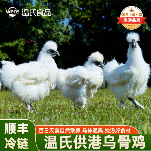 温氏天露乌骨鸡散养谷饲乌鸡真空锁鲜走地鸡整只生鲜鸡滋补发顺丰