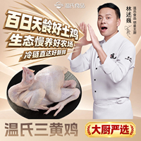 温氏三黄鸡散养中华土鸡