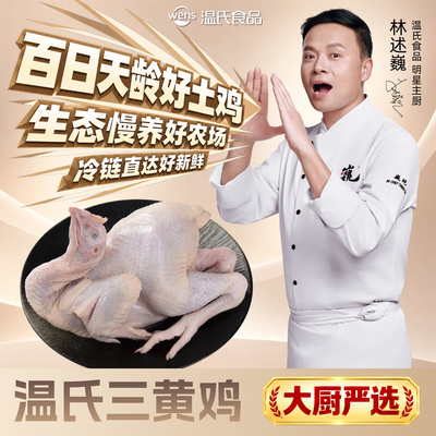 温氏三黄鸡散养中华土鸡