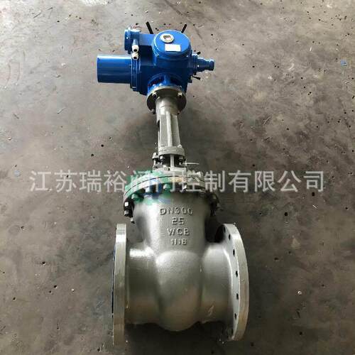 Z941H-25C DN300电动闸阀 化工蒸汽管道控制阀 带户外防爆控制箱