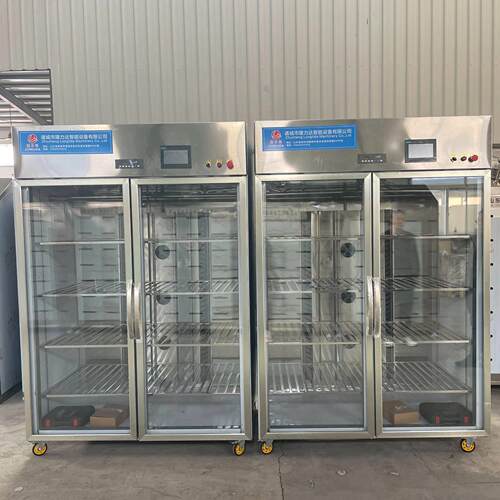 脱骨鸡爪低温湿解冻柜商用小型解冻牛肉机器智能缓化保鲜柜