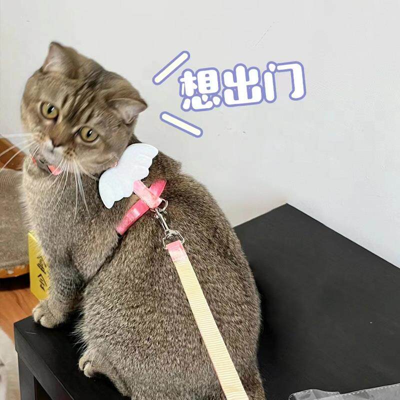 猫咪牵引绳防挣脱外出专用可调节幼猫翅膀绳子宠物小狗链子遛猫绳
